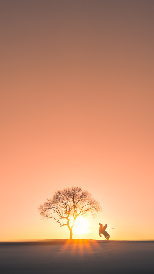 爱游戏体育官方网站-运动员公益故事：用行动改变社会的篮球明星，关于运动员故事