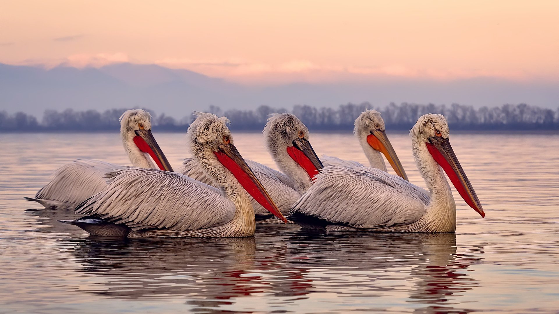 逆转戏码:悬念持续升级,逆转游戏简介