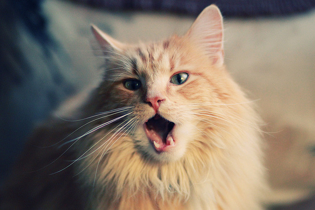 爱游戏官方网站-青少年的篮球热潮席卷全国，校园体育不断升温，青少年篮球训练体系