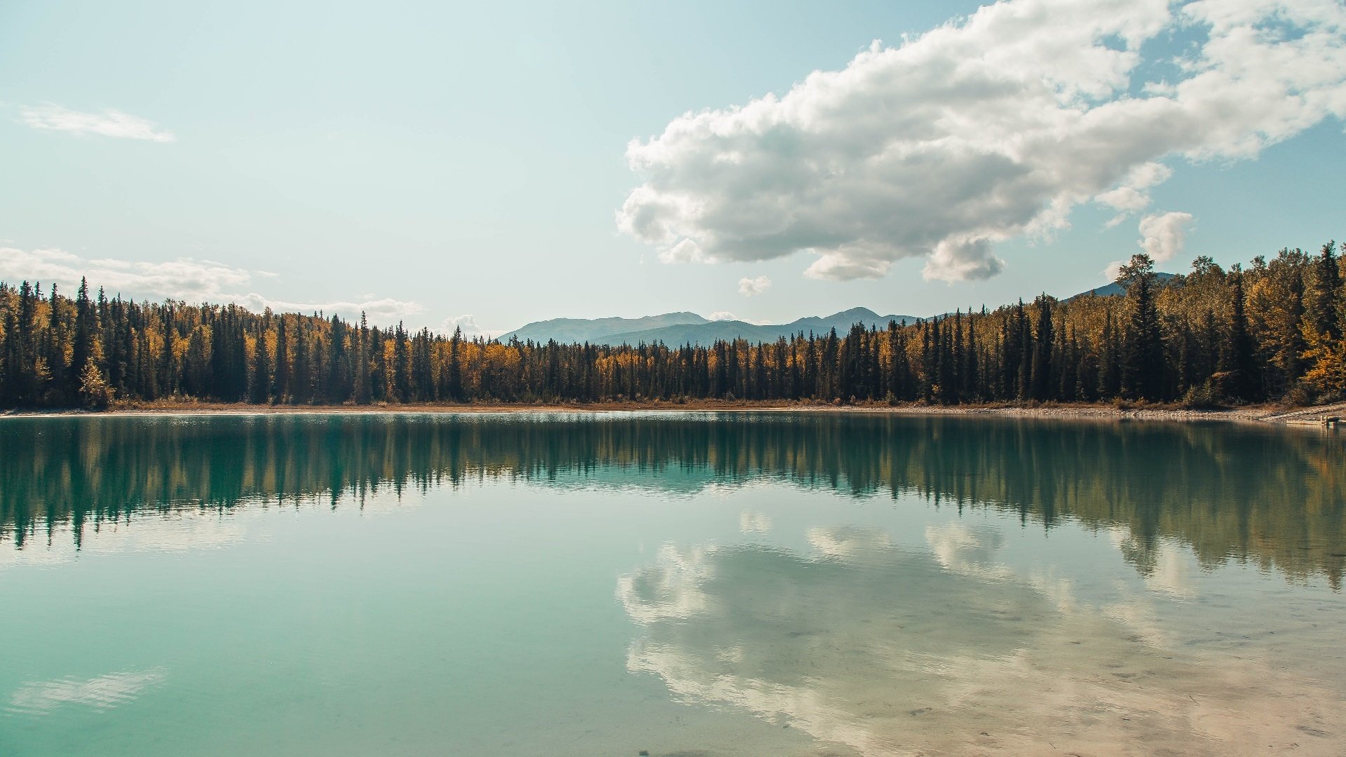 爱游戏娱乐-FaZe主播联动英雄联盟热度提升，英雄联盟主播联赛
