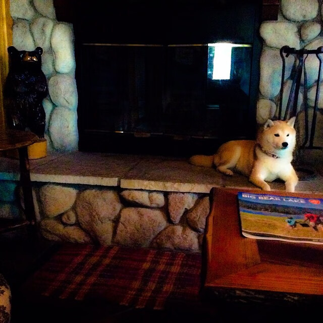 AYX官网-列支敦士登球队取得一场重要胜利，列支敦士登代表队