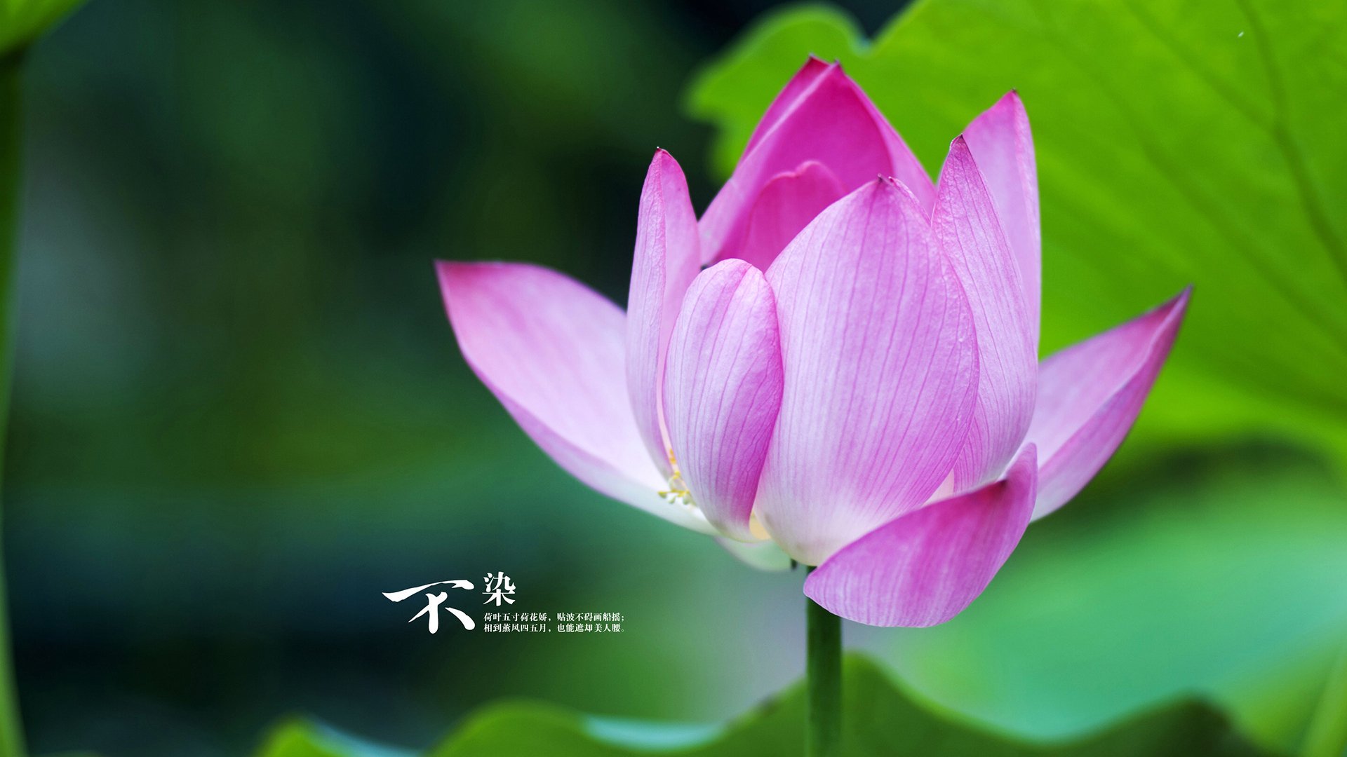 爱游戏官方-综合射击亚洲杯赛事全战绩，亚洲射击锦标赛女子冠军