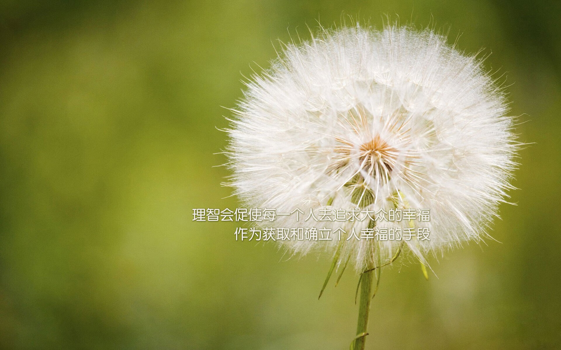 中国篮球职业联赛经济效益提升策略及风险防控研究，中国篮球产业规模