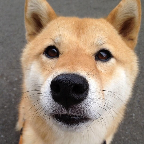 爱游戏在线登录入口-体育传媒从业者职业发展路径分析，体育传媒是什么