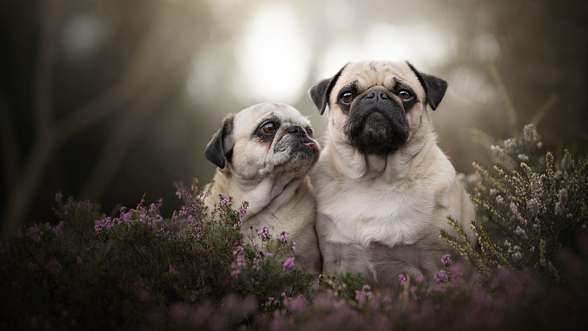 新闻中心聚焦客户满意度提升,三步走提升客户满意度