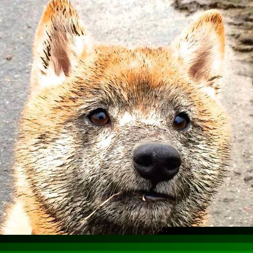 运动损伤预防知识普及项目在中学的实施评估,运动损伤的预防措施包括遵守教学训练原则