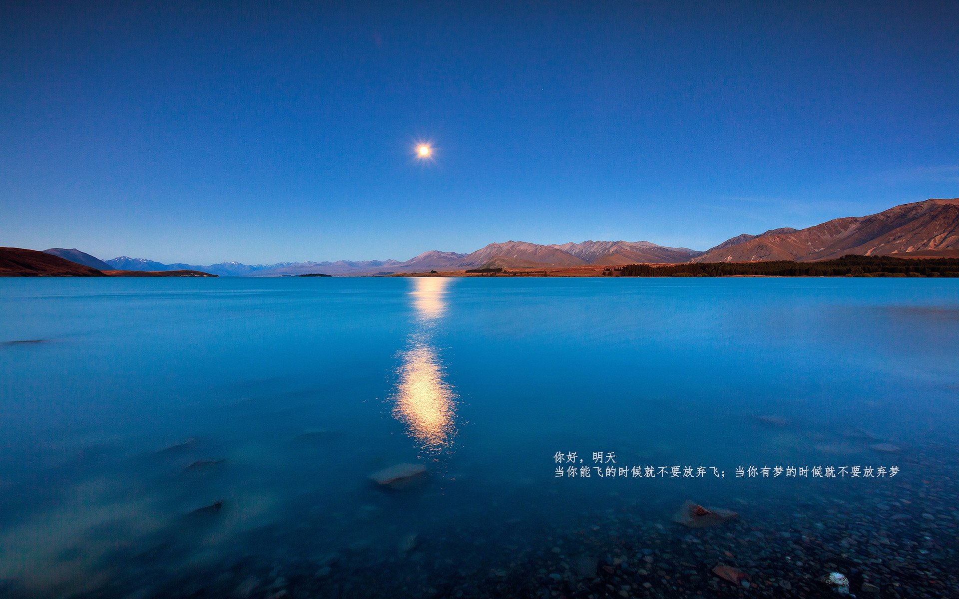 “高新体育中心羽毛球:速度与精准的完美碰撞”