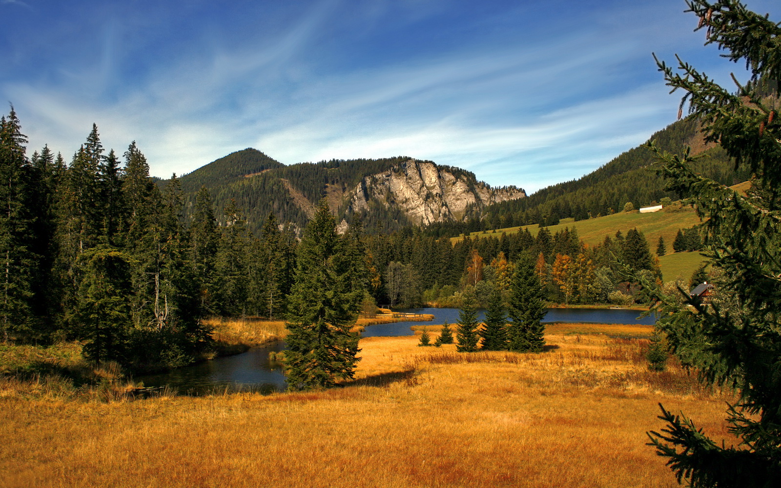 爱游戏app下载-“跑者聚集！SHO-CHAN Run 2025香港赛道的极速对决”