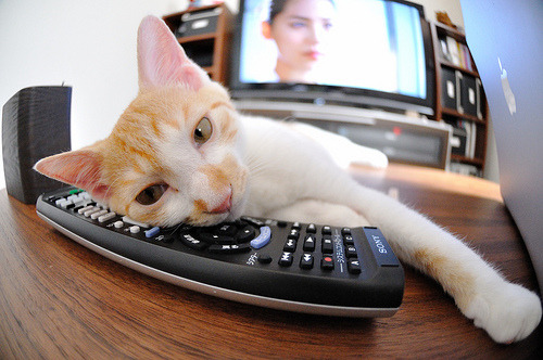 爱游戏中国官方登录入口网站-体育新闻中心发布智慧健身内容生态构建方案，推行智慧健身的意义