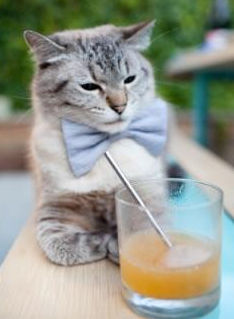 爱游戏下载-女足青训营逐步推行分层管理实现按需定制训练，女足精英训练营