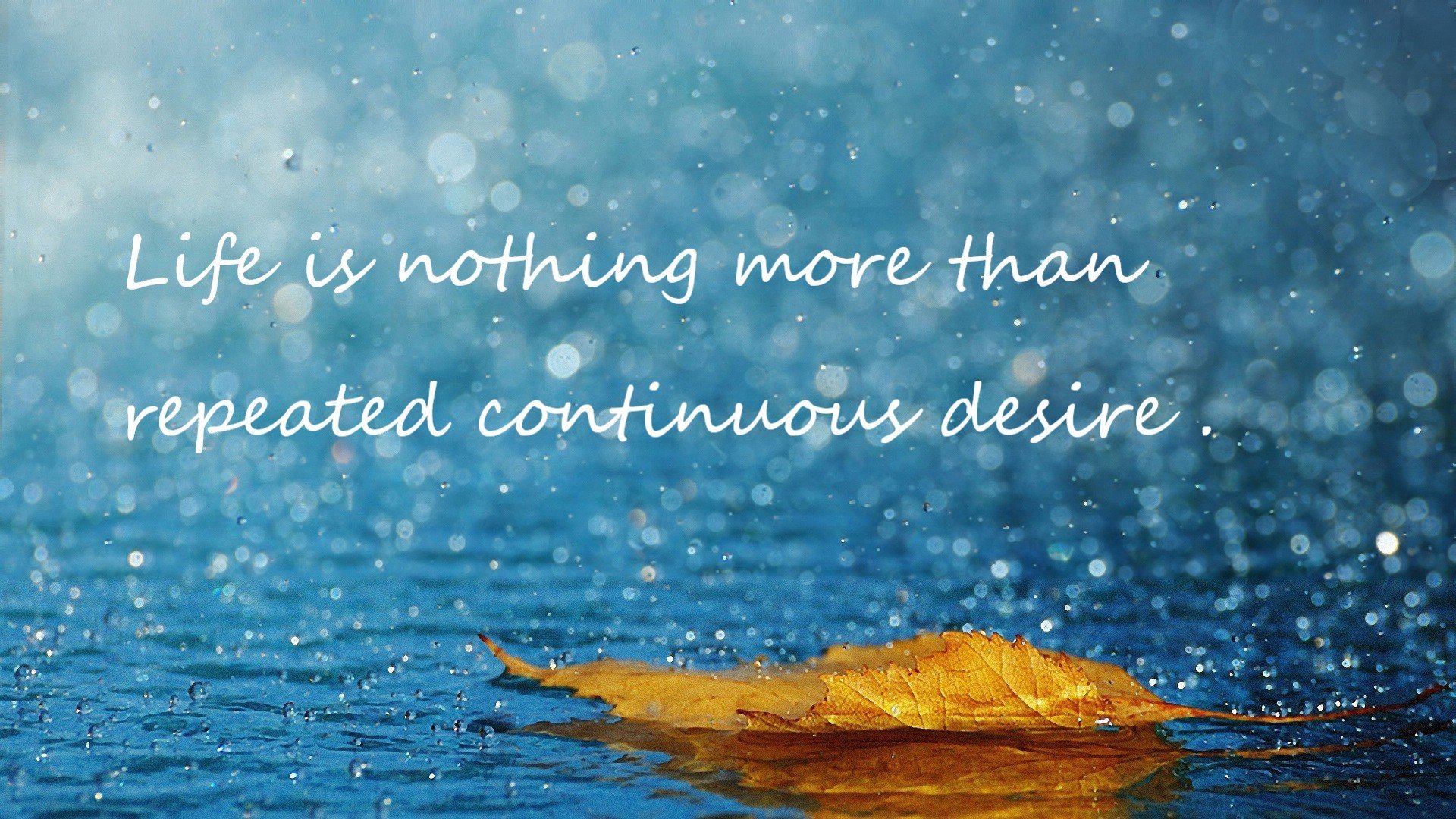 AYX GAMING-朱婷亮相校园被学生热情包围，朱婷上学