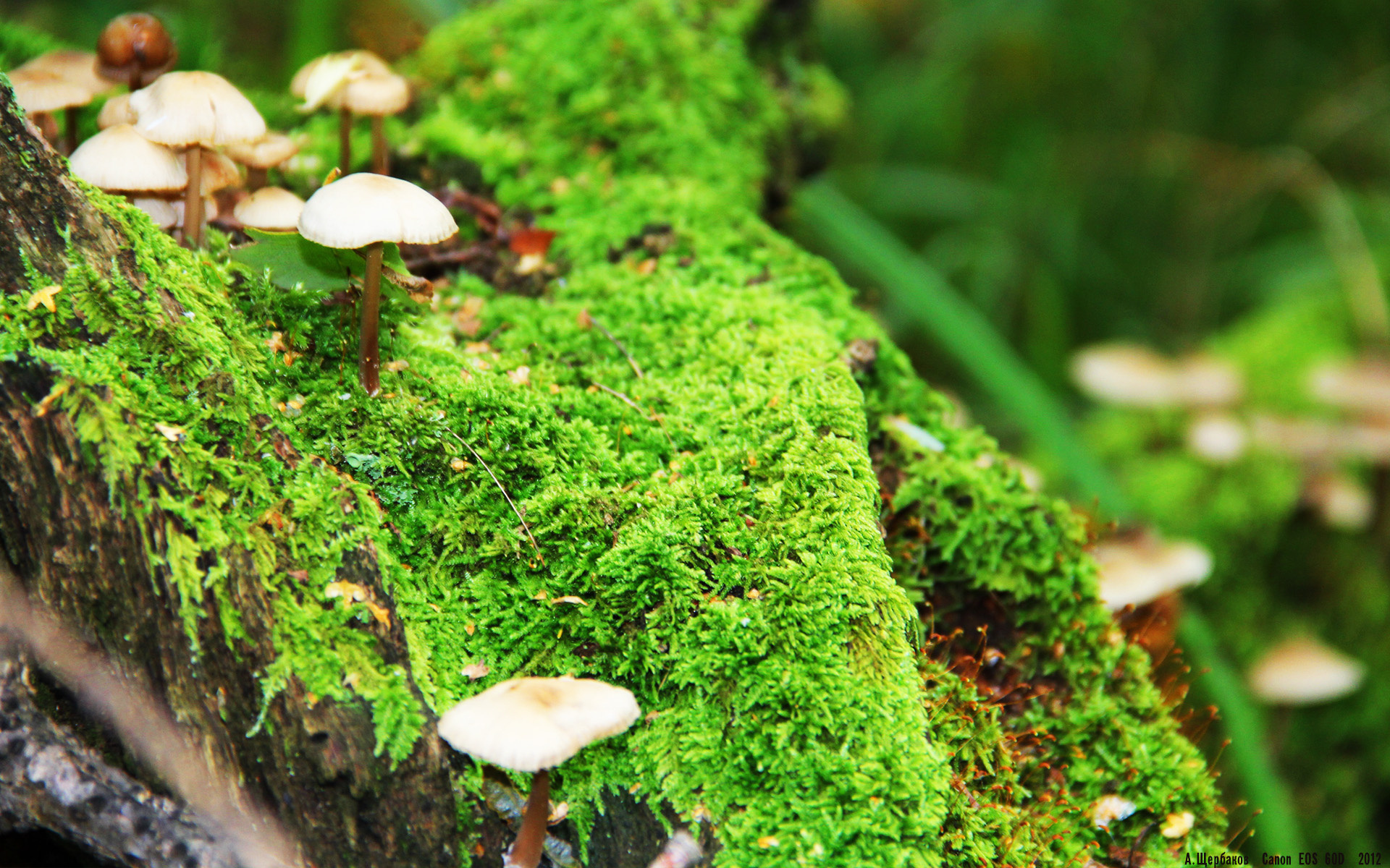 爱游戏体育平台-熬到天亮勇士训练结束贴片曝光