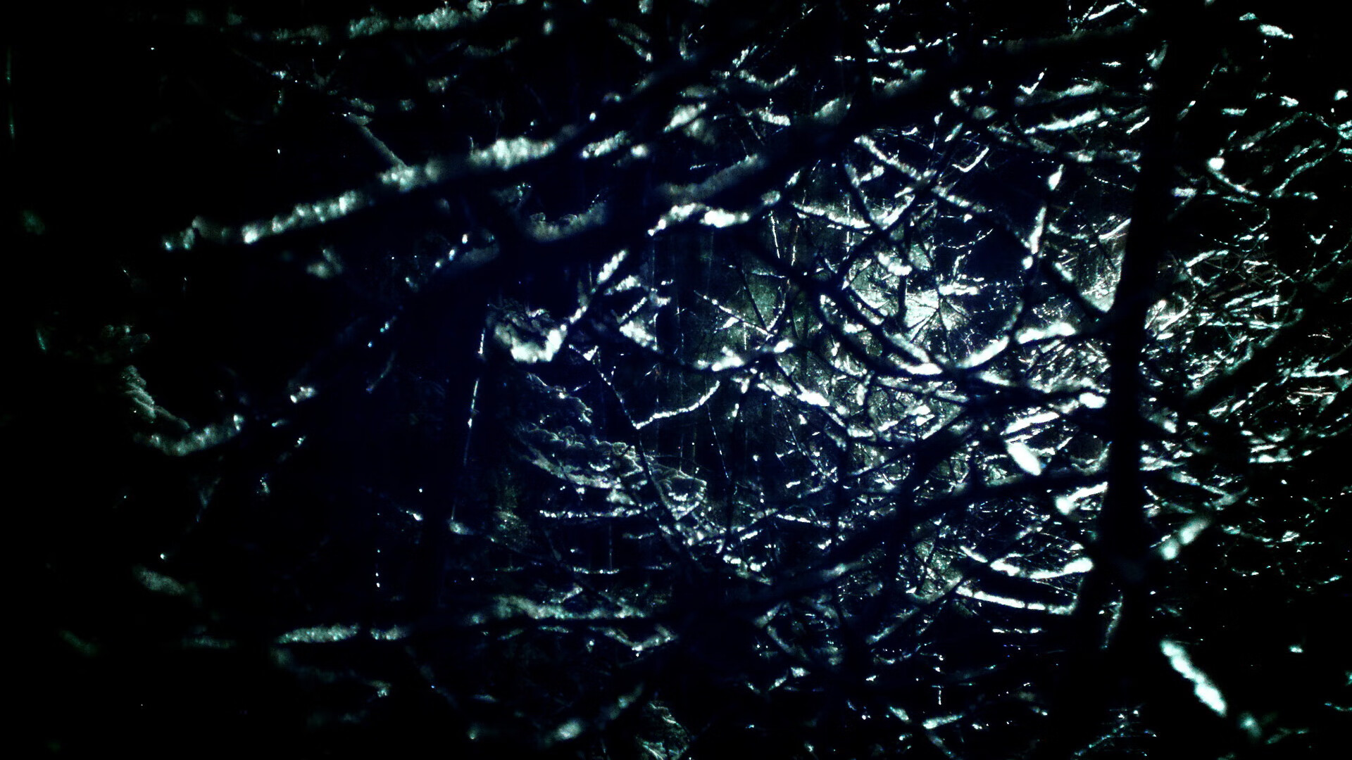 AYX GAME-青训中心建立球员成长档案系统便于长期观察，青训队足球