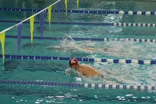 AYX SPORTS-韩国男队自由泳爆发力惊人，韩国200米自由泳