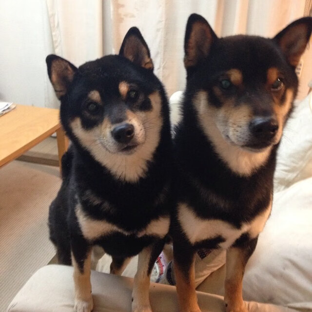 高校篮球重视运动损伤预防提高运动员保护意识，预防篮球运动损伤的意义